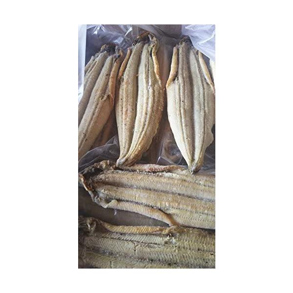 Y@LȂā@10kgi5060jkg7,440~ŕʁ@Ɩp@C@