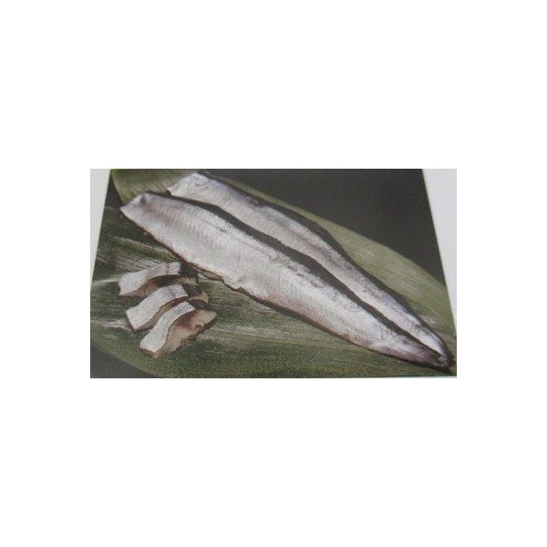 |@T}|Y500×16PiP1,480~ŕʁjH@Ɩp@C@