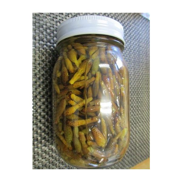 単価：1370円/1本 受注最小ロット：20550円/15本（税別） 名称：穂先 つくしん坊水煮450g(固形物210g)×15本 写真の賞味期限は気にしないでください。随時新たしい商品が届いています。 ☆つくしの頭の部分だけを水煮にしてあ...