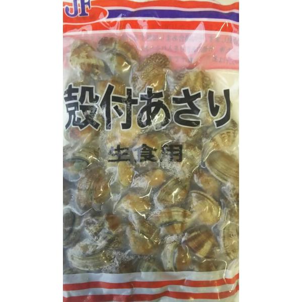 @WFt_@kt@500i41-50j×40PiP430~ŕʁjHp@Ɩp@C@