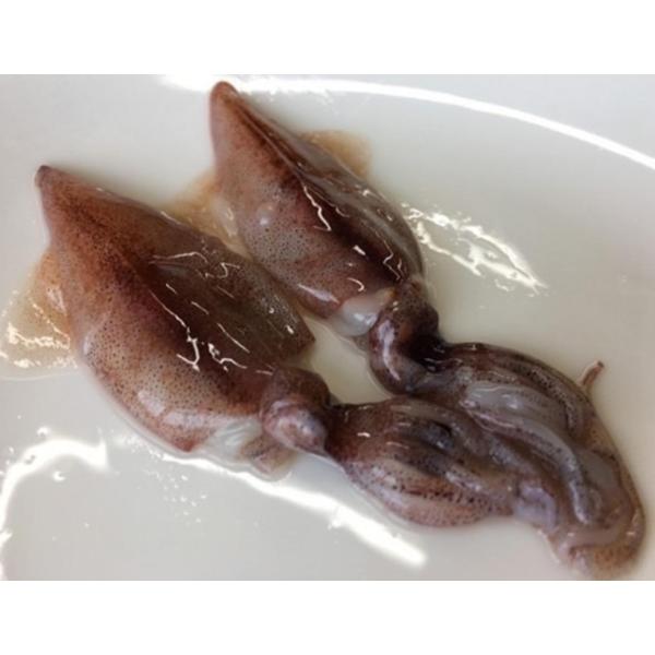 刺身用　生ほたるいか目取り　500g（約80尾）ｘ20Ｐ（Ｐ1,300円税別）冷凍　業務用　ヤヨイ