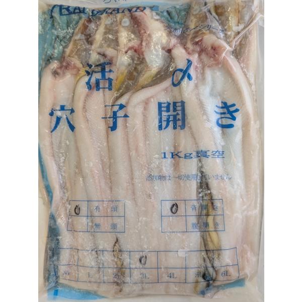 活〆処理された鮮度抜群の穴子を、背開き加工し真空パックで急速冷凍。添加物を一切使用しておらず、穴子本来の旨味と食感をそのままお楽しみいただけます。職人の手で丁寧に捌かれており、煮穴子・白焼き・天ぷら・握り寿司・蒲焼きなど、さまざまな料理にご...