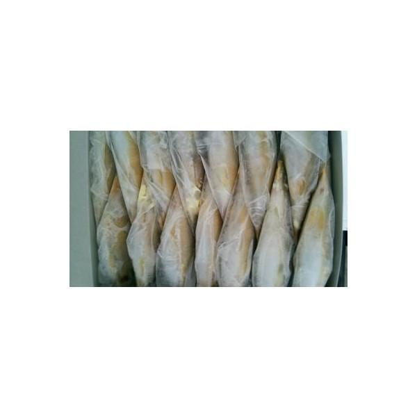 Y@Ⓚ@q@Pi10`16j×PO i3,600~ŕʁj@Ɩp@C@eTCY