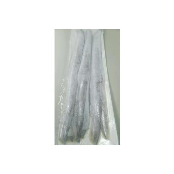 Hp@tB[@500x20i2,600~ŕʁjhgp@Ɩp@C