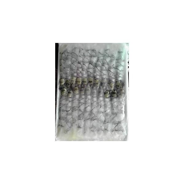 16-20ubN^CK[L΂CV@20x40i1080~ŕʁjƖp@C