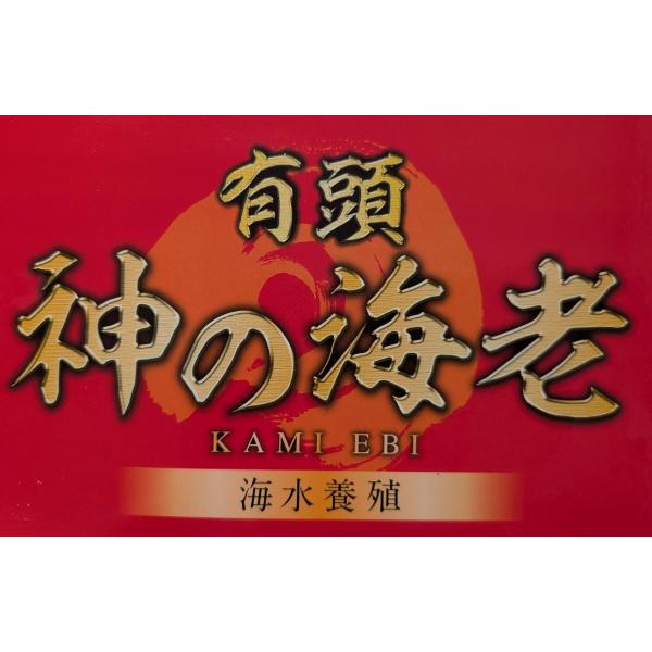 神の海老 有頭バナメイエビ サイズ（20/30又は30/40又は40/50）1kg×10P（P1,650円税別） エクアドル産 ASC認証 海水養殖 冷凍 生えび 有頭えび 業務用 ヤヨイ