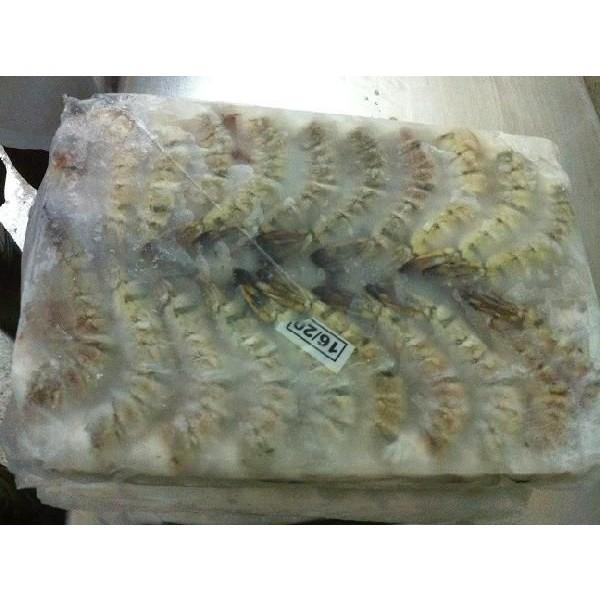 一級品　16-20ブラックタイガー無頭　1.8ｋｇ(約70匹）×6枚（枚4620円税別）業務用　ヤヨイ