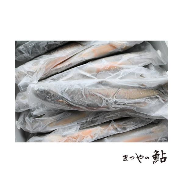 Y@{B@Ⓚ@ȁ@1kgx10i3,050~ŕʁj@Ɩp@C