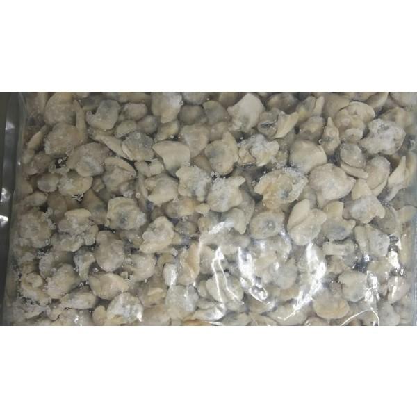 {CL1i500-800jx10oio1800~ŕʁj~j@Ɩp@͂܂@n}O