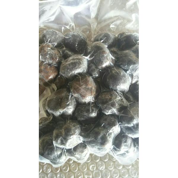 Y@Ⓚgtz[ilj500(3`4cmjx6oio10250~ŕʁjƖp@C