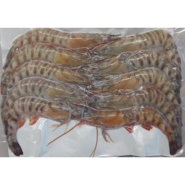 vg@Ⓚ@LԊCVi{BAYj10×20PiP2,060~ŕʁjH\@Y@Ɩp@C