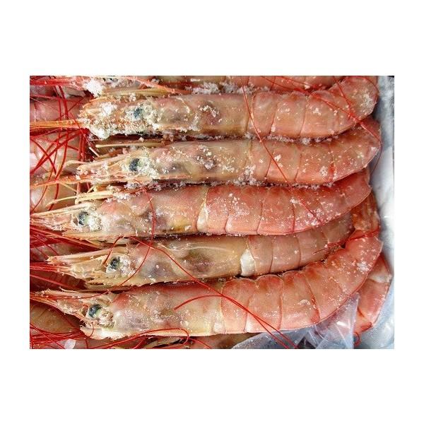 Ⓚ@A[`ÊCVikRj2i60`80j×6@i3,380~ŕʁj@k1Ak2舵@Ɩp@C