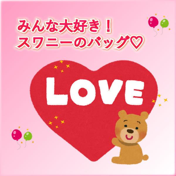 �X���j�[ �L�����[�o�b�O �V���b�s���O �O�C SWANY �E�H�[�L���O �J�[�g �o�b�O D-685 L21 22L �� �����  ������ĕ����� �X�g�b�p�[�t�� ���i�摜4