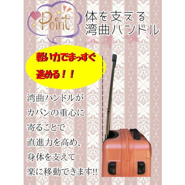 �X���j�[ �L�����[�o�b�O �V���b�s���O �O�C SWANY �E�H�[�L���O �J�[�g �o�b�O D-685 L21 22L �� �����  ������ĕ����� �X�g�b�p�[�t�� ���i�摜5