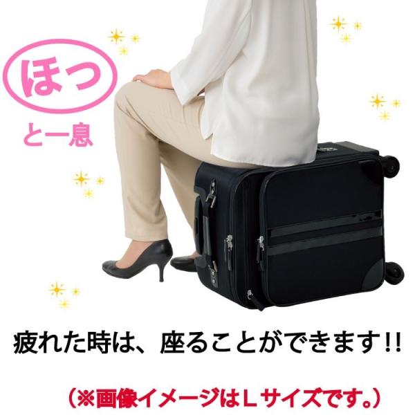 スワニー キャリーバッグ ウォーキング のお供に おすすめ バッグ 座れる ベネチーオ3 Swany T 377 49cm l Buyee Buyee Japanese Proxy Service Buy From Japan Bot Online