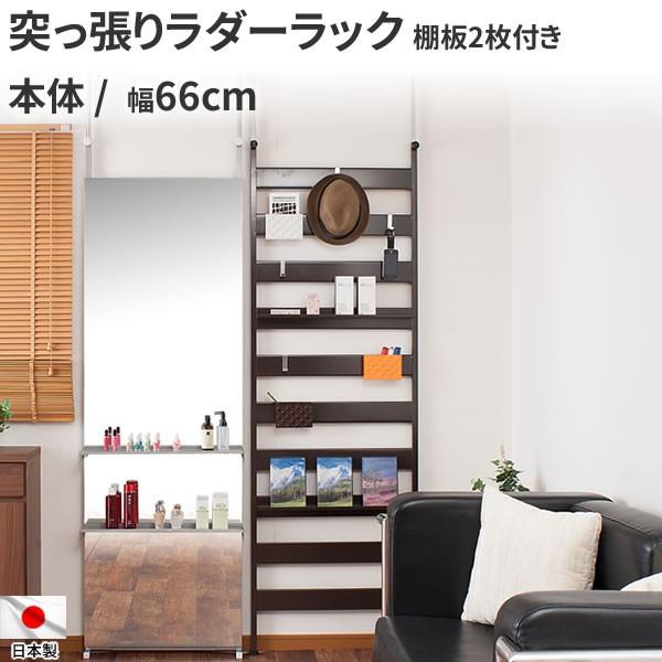 本体 壁面突っ張りラダーラック 幅66cm 棚2枚付 ブラウン Nr Ndpa Org