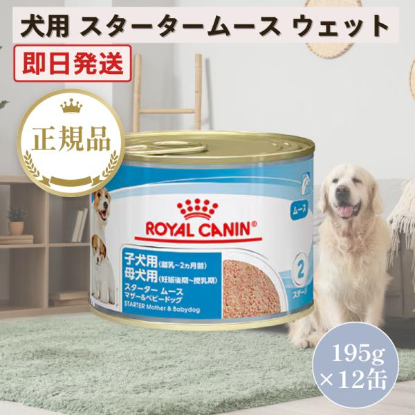 スターター ムース マザー&ベビードッグ