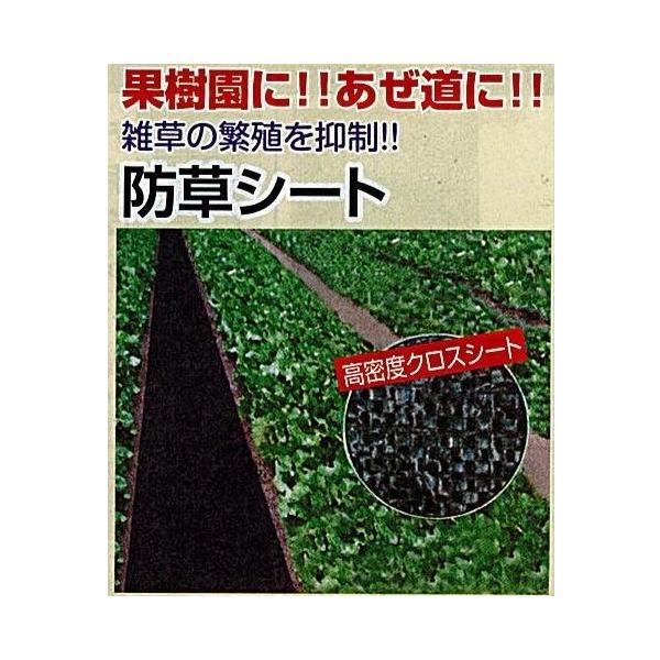 C1【石川定#343ヨサ070508-16】防草シート黒 2m×50m 抗菌剤入 耐久1～2