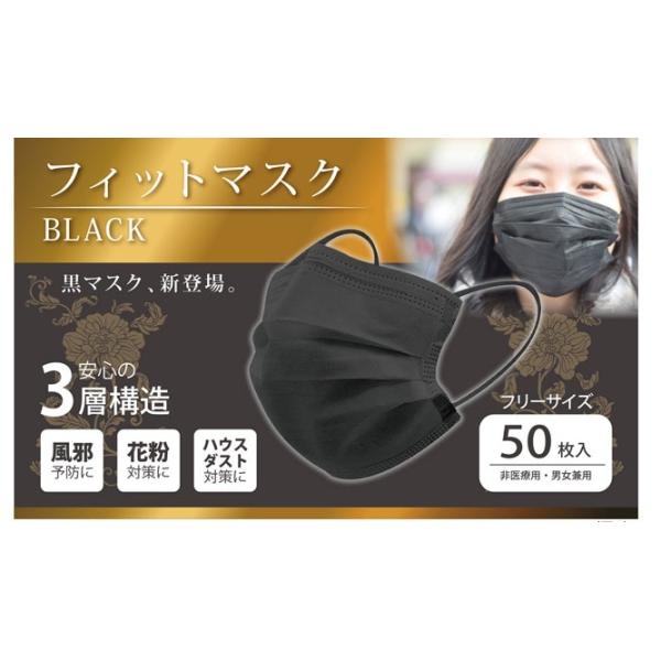 C2【神奈定#203キ040124-1W1(15)】黒マスク3層不織布50枚入ウィルスカット洗えません使捨てコロナ防止