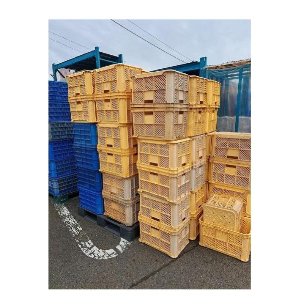 C3A【新長060823(69)】 果コンテナ 農家用 外置品 青と黄色です 未使用 69個有り 販売価格は1個の価格です 高さ30.5cm 巾52.2cm 奥行36.5cm 重さ1.4kg