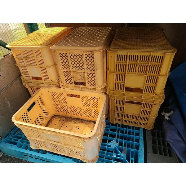 C3A【新長060823(1)】交渉Ok　10個セット 果コンテナ 農家用 外置品 青と黄色です 未使用 販売価格は1個の価格です 高さ30.5cm 巾52.2cm 奥行36.5cm 重さ1.4kg