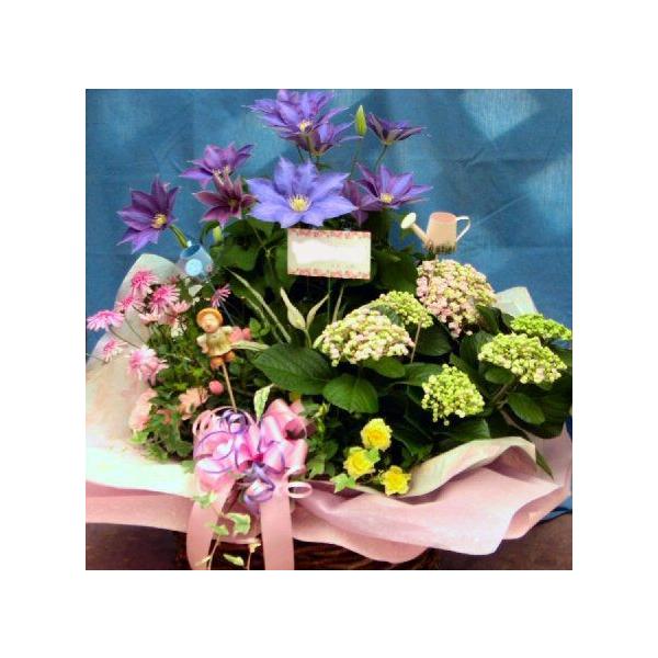 t[AWg 8000 G߂̉ԃMtg