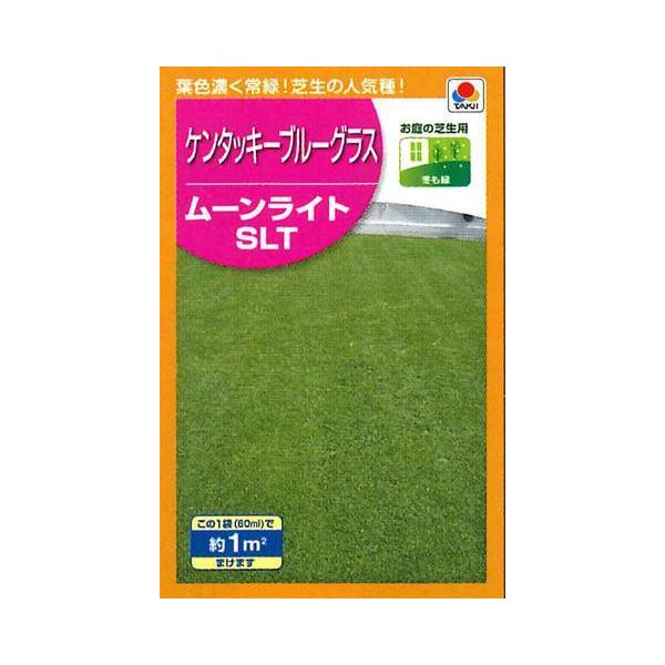 芝生 西洋芝の通販 価格比較 価格 Com