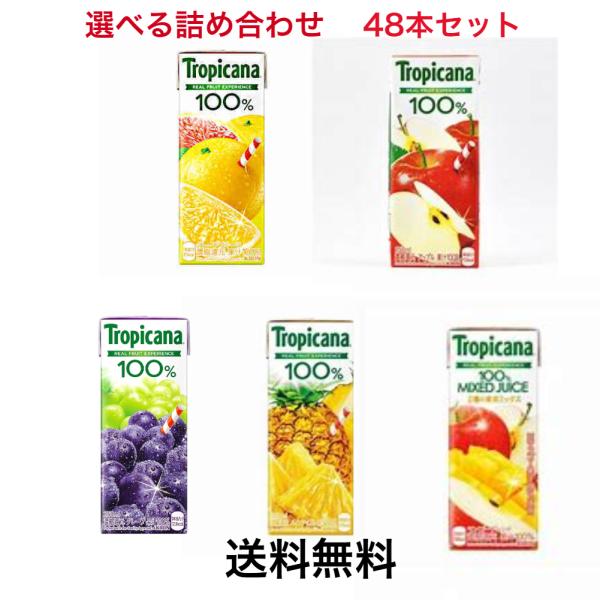 ジュース お中元 キリントロピカーナ 選べる48本セット 250ml×48本(6本単位） 大量 熱中症対策 ギフト 差し入れ 内祝い 詰め合わせ  プレゼント お礼 合宿