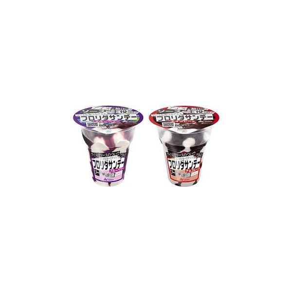 アイス 赤城 フロリダサンデー チョコ・ブルーベリー2種アソート 210ml×各種6個 熱中症対策 差し入れ ギフト お中元