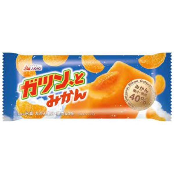 アイス 赤城 ガツン、とみかん 90ml×24本 熱中症対策 ギフト 誕生日