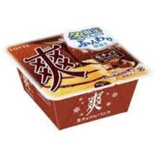 ロッテ 爽 生チョコINバニラ 185ml×18個　アイス 新商品 差し入れ
