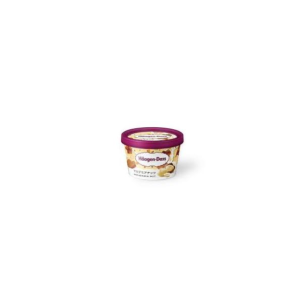 ハーゲンダッツマカデミアナッツ 110ml×6個 差し入れ　贈答品 誕生日 冬休み 年末年始 御年賀 パーティー おやつ バレンタイン  濃厚 アイスクリーム