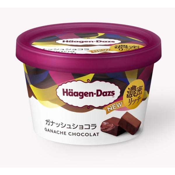 爆買 アイス 母の日父の日ギフト 期間限定 ハーゲンダッツ HDガナッシュショコラ 110ml×6個  新商品  差し入れ 誕生日プレゼント イベント デザート