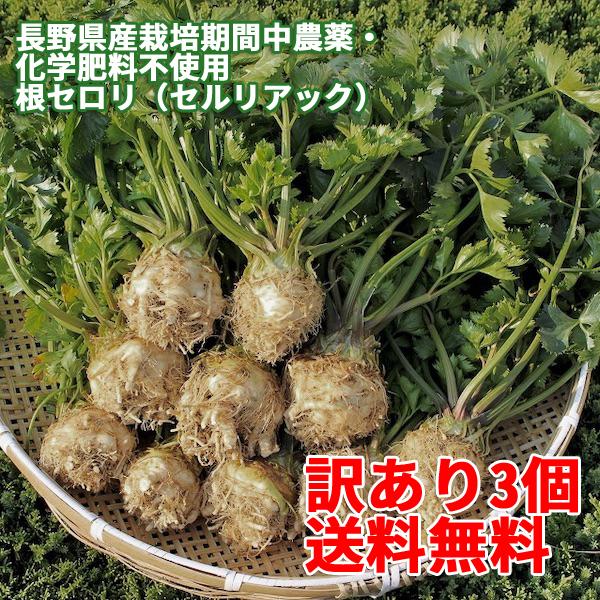 訳あり 八ヶ岳産 無農薬 セルリアック 3個セット セロリアック 根セロリ セロリラブ 栽培期間中農薬 化学肥料不使用 8i 48 04 ハチカッテ ヤフー店 通販 Yahoo ショッピング