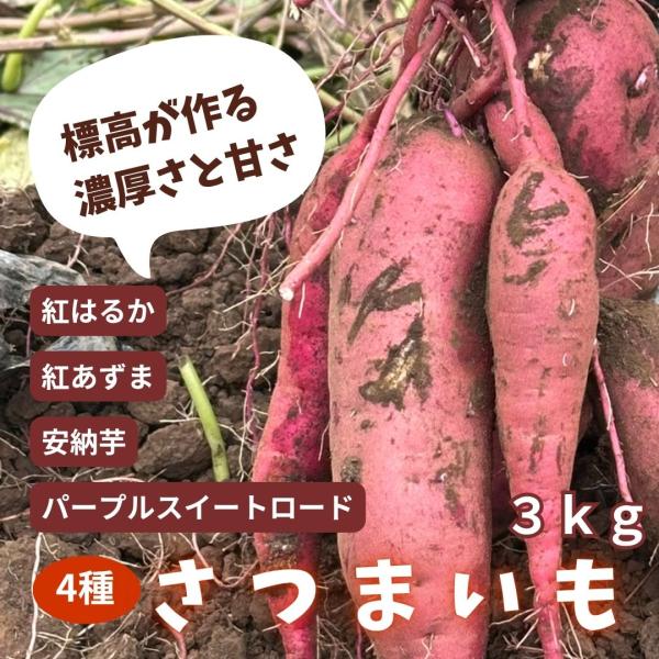 ●原村産のさつまいもが今年も登場！標高1000mなので、甘さが増します●美味しいものを食べて笑顔を作る農業原村で農業を営む日達さんは、花卉農業を営みながら、飲食店などからの「こんな野菜ありますか？」に答えて原村で作れる美味しい野菜づくりにチ...