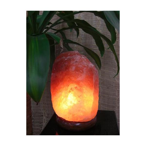 ≖v@i`^S@10@\gv@z͕t܂񁡕ʓrw