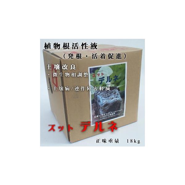 iɌ׋ۂƃyv`hz@LpیQYbgflœyÂ@Ɣi܂PW@Lpۂ̑ByP@yۂ̊͊