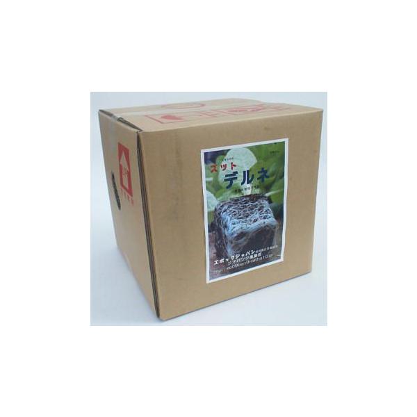 A͊ ׋ۃyv`hzoCIt Lpۂ̔ɐByۂ̊͊@y̉P YbgflPW