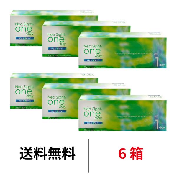 ネオサイトワンデーアクアモイスト 30枚 6箱 近視用 ワンデー 送料無料 1日交換 アイレ コンタクトレンズ 1day