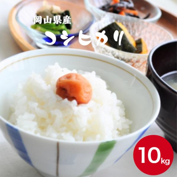 令和7年産 岡山県産 コシヒカリ 10kg 【5kg×2袋】 白米 食品 国産 送料無料 ※北海道・沖縄の方は別途送料加算