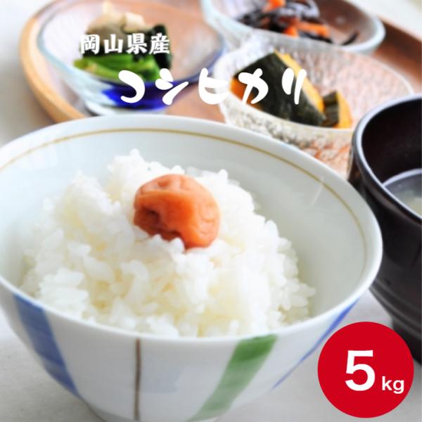 令和7年産 岡山県産 コシヒカリ 5kg 1袋 白米 食品 国産 送料無料 ※北海道・沖縄の方は別途送料加算