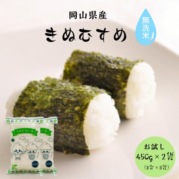 令和7年産 岡山県産 きぬむすめ 無洗米 900g 【450g(3合)×2袋】ポイント消化 白米 食品 お試しセット 1kg以下 メール便 国産 送料無料
