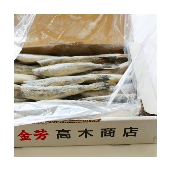  kCY ܂ 銱 700g×4 X Mtg H Ă ЋF ؏X Mtg CN 