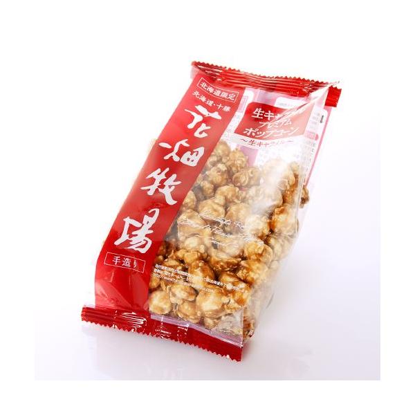 花畑牧場 生キャラメルプレミアムポップコーン 北海道お土産 ギフト お取り寄せ 母の日 父の日 Buyee Buyee 提供一站式最全面最專業現地yahoo Japan拍賣代bid代拍代購服務 Bot Online