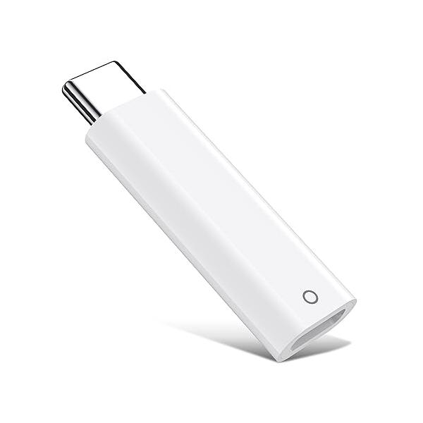 2023業界最先端】Apple USB-C - Apple Pencilアダプタ iPad第10世代 