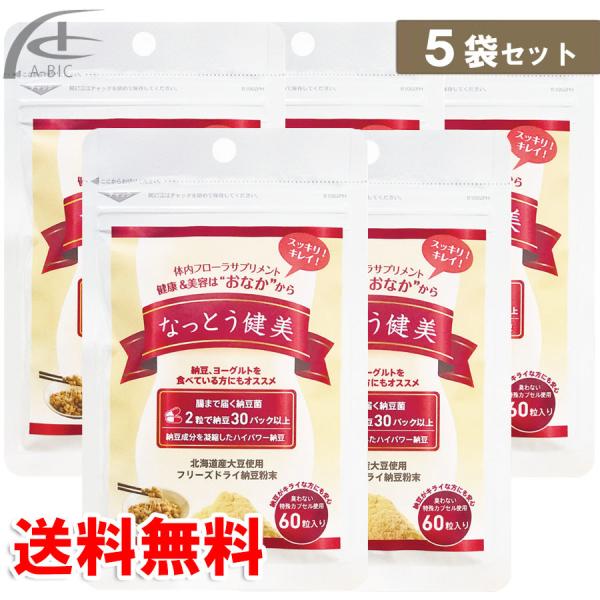 納豆菌 サプリ なっとう健美 60粒 5袋セット 納豆 ナットウキナーゼ サプリメント  全国送料無料