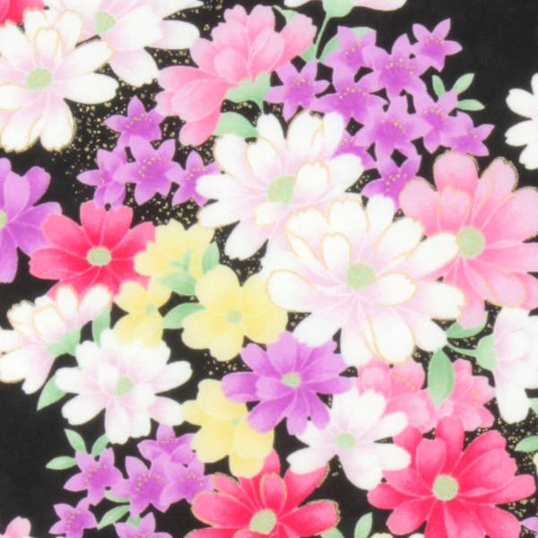 ͂@No.02@a@JbgNX@zn@an@obO@΂@ܕ@FT@@̂͂@啿@䕿@؂蔄@̎|