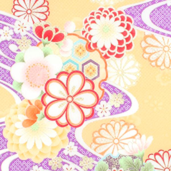 ͂@No.39@a@JbgNX@zn@an@obO@΂@ܕ@FT@@̂͂@啿@䕿@؂蔄@̎|