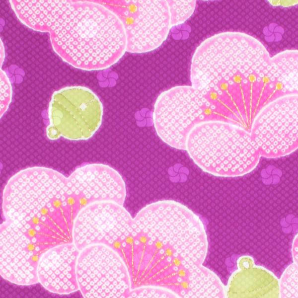 ͂@No.47@a@JbgNX@zn@an@obO@΂@ܕ@FT@@̂͂@啿@䕿@؂蔄@̎|