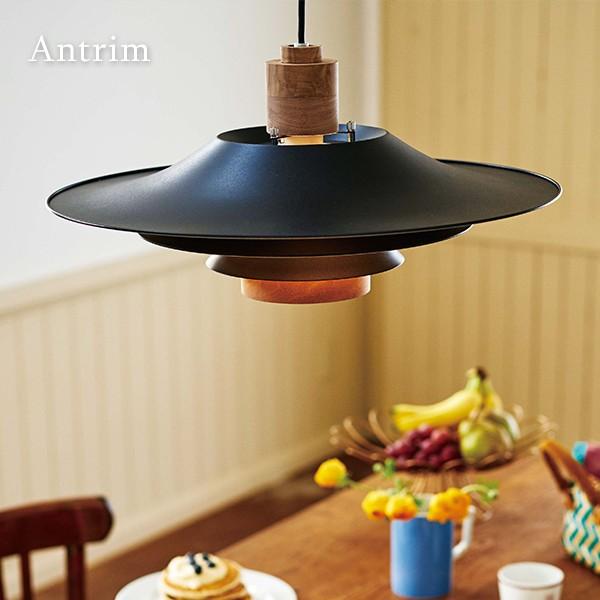 インターフォルム ペンダントライト アントリム 1灯 天井照明 多層型